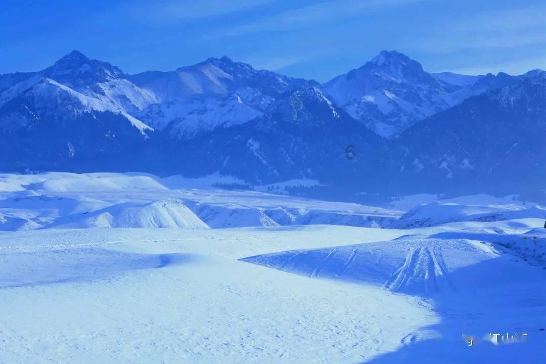 探寻答案,尽在我一米五一 我男朋友一米七二 我们合适吗问答平台